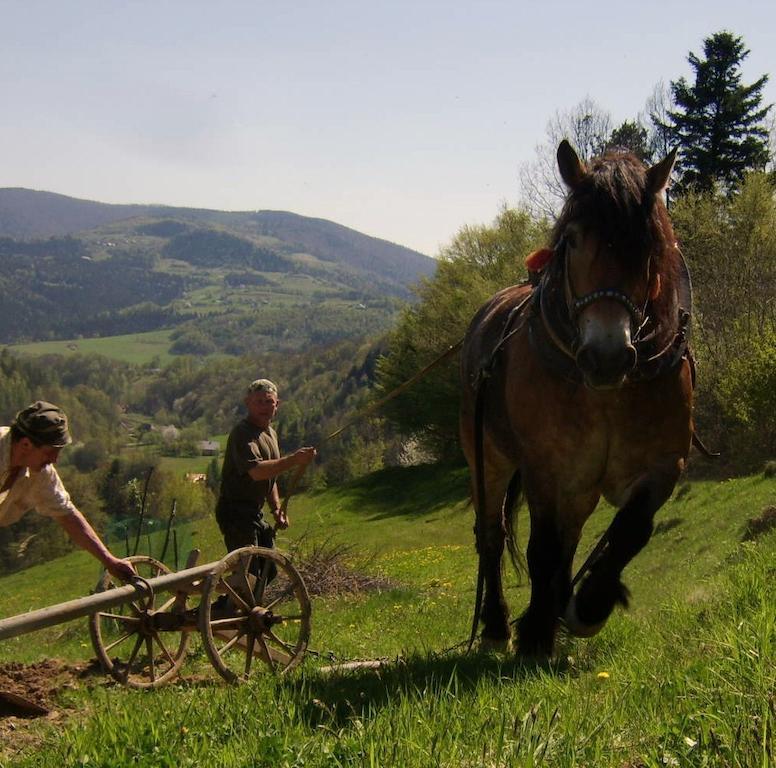 Agroturystyka Millerowka Kamionka Mala  Kültér fotó